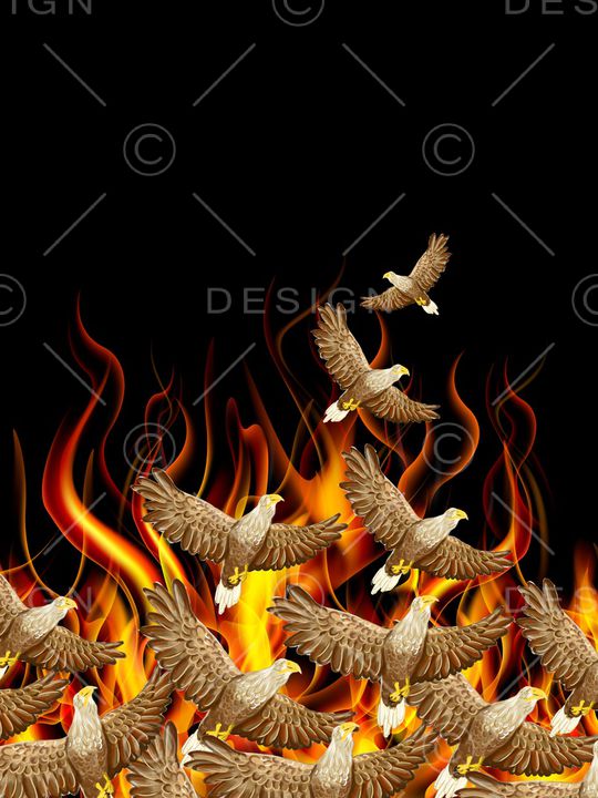 潮牌印花华亿平台图片