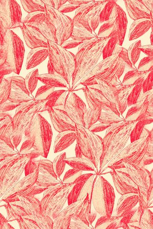 大牌风印花华亿平台图片