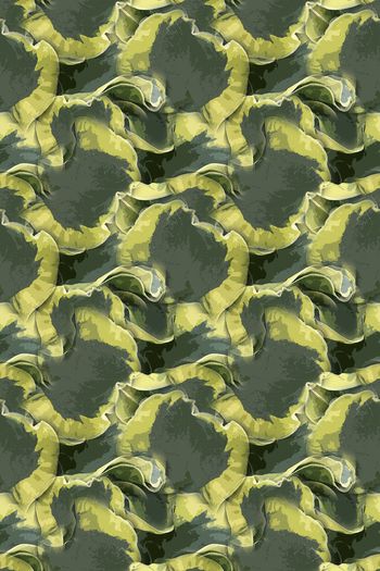 1245654-190816-syyh-6-00