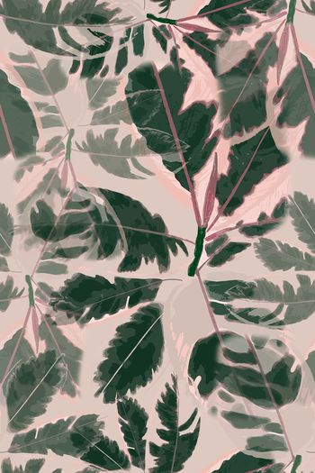 1245656-190816-syyh-7-00