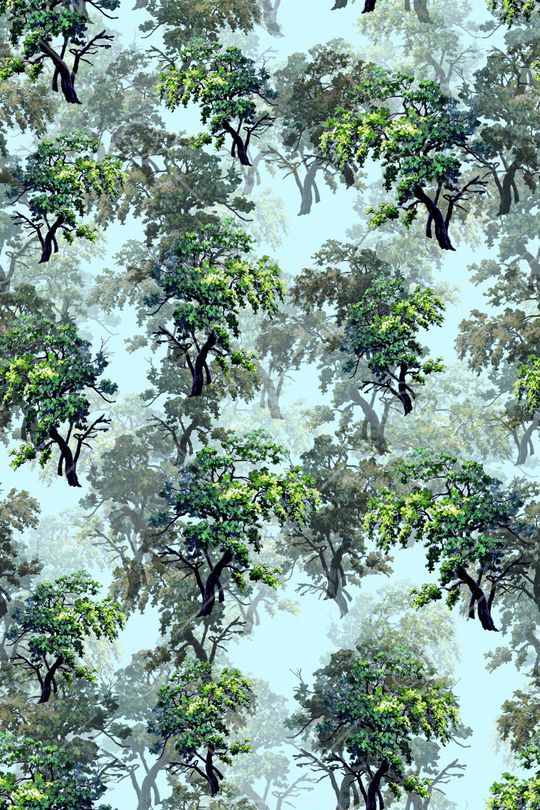 树林印花华亿平台图片