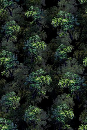 树林印花华亿平台图片