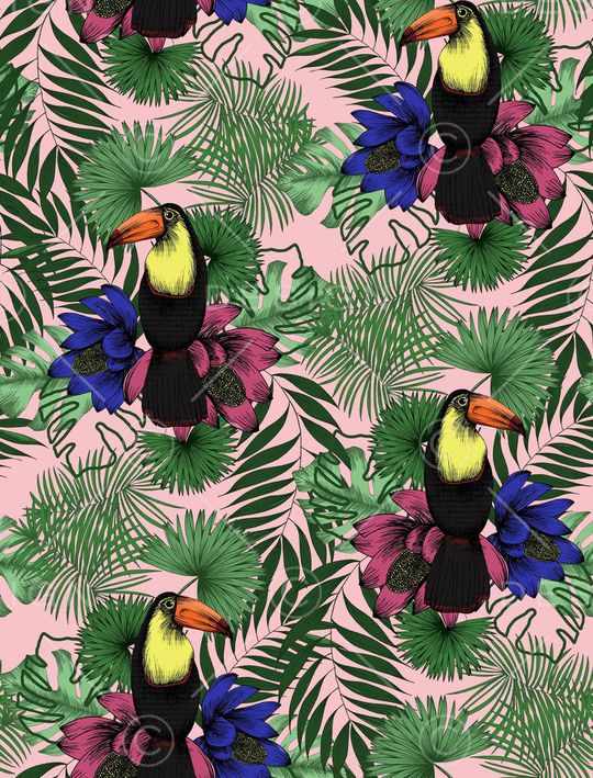 鹦鹉印花华亿平台图片