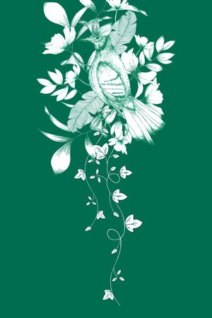 鸟印花华亿平台图片