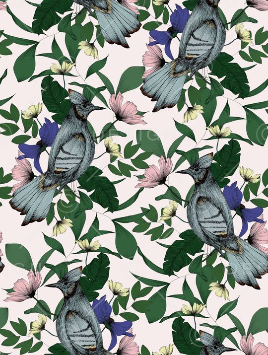 鹦鹉印花华亿平台图片