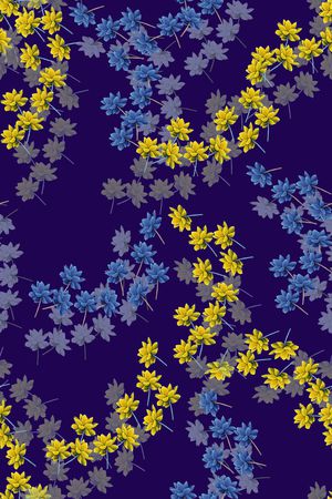 女装印花华亿平台图片