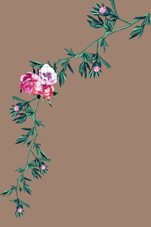 牡丹印花华亿平台图片