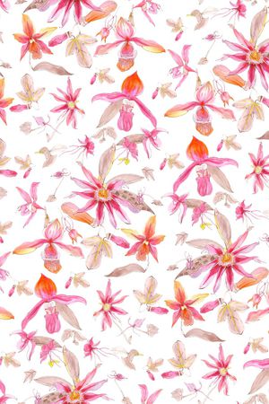 郁金香印花华亿平台图片