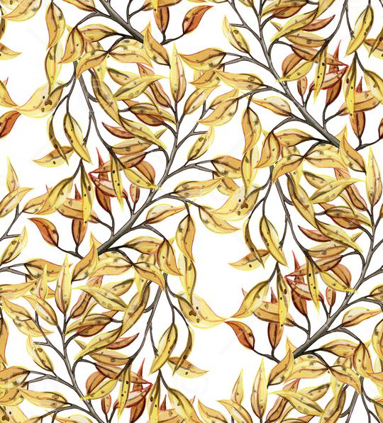 郁金香印花华亿平台图片