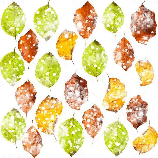 小清新印花华亿平台图片