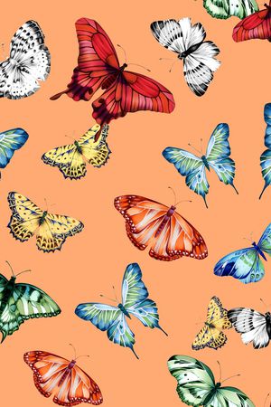 大牌风印花华亿平台图片