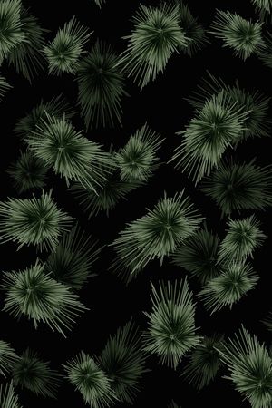 黑底花卉印花华亿平台图片