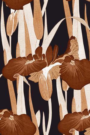 鸢尾花印花华亿平台图片