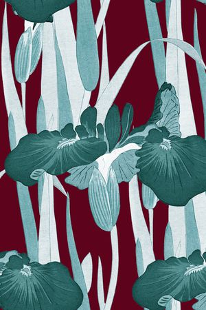 鸢尾花印花华亿平台图片