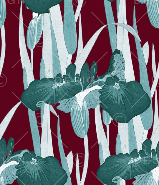 鸢尾花印花华亿平台图片