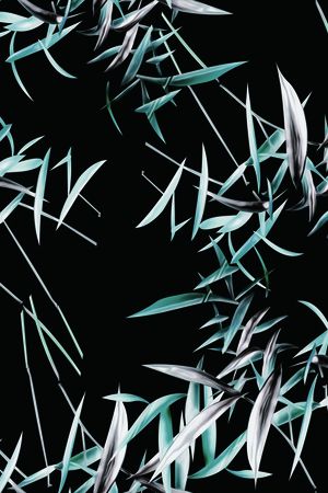 黑底花卉印花华亿平台图片