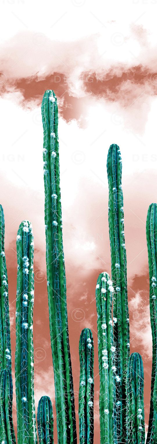 仙人棍印花华亿平台图片