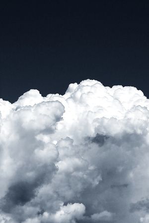 羽绒服印花华亿平台图片