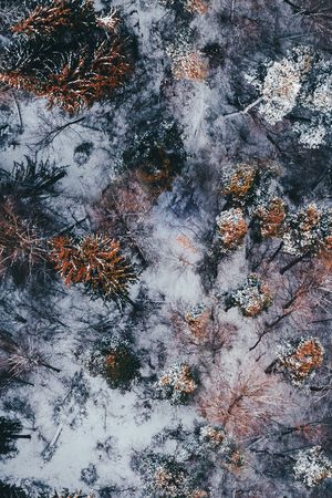 羽绒服印花华亿平台图片