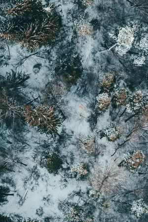 羽绒服印花华亿平台图片