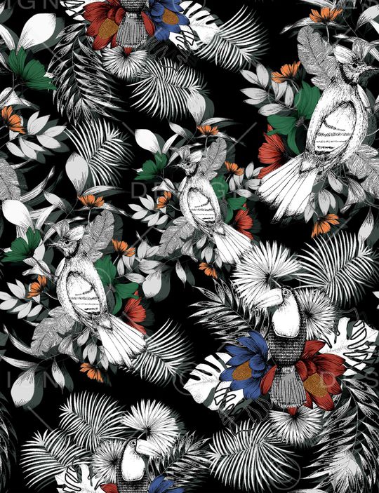 鹦鹉印花华亿平台图片