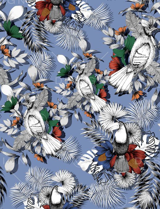 鹦鹉印花华亿平台图片