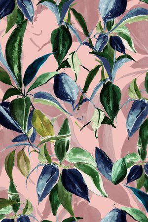 吊兰印花华亿平台图片