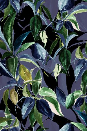 吊兰印花华亿平台图片