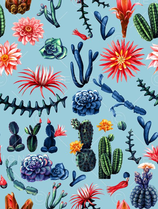 仙人掌印花华亿平台图片