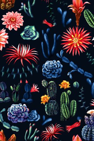 仙人掌印花华亿平台图片