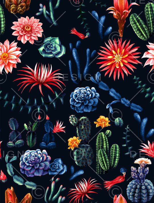 仙人掌印花华亿平台图片