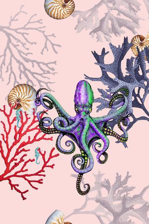 贝壳印花华亿平台图片