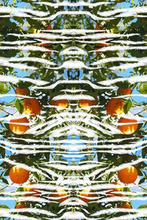 植物印花华亿平台图片