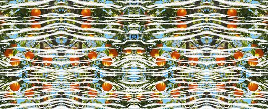 植物印花华亿平台图片