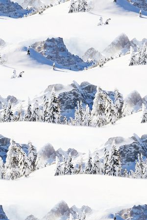 雪山印花华亿平台图片