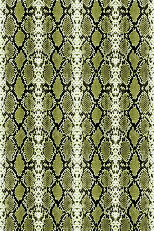 大牌风印花华亿平台图片