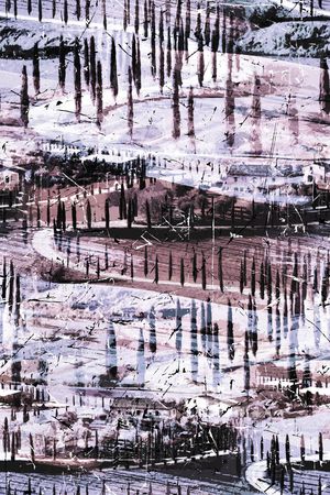 树林印花华亿平台图片