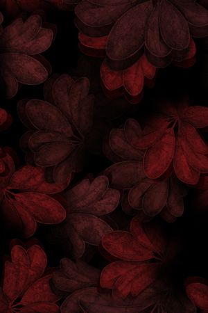 女装印花华亿平台图片