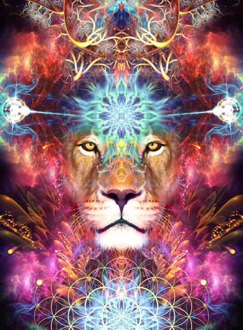 大牌风印花华亿平台图片