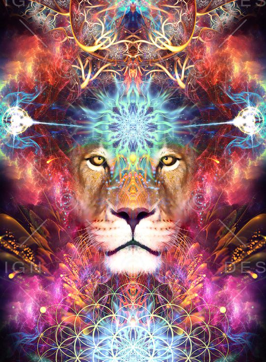 大牌风印花华亿平台图片