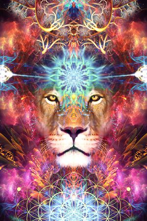 大牌风印花华亿平台图片