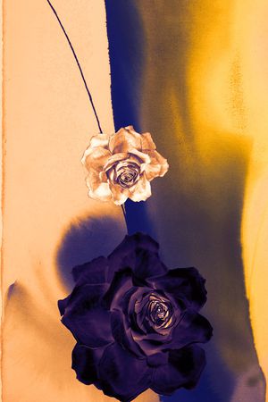 素雅印花华亿平台图片