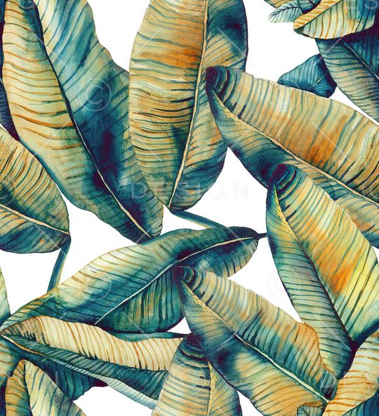 棕榈树印花华亿平台图片