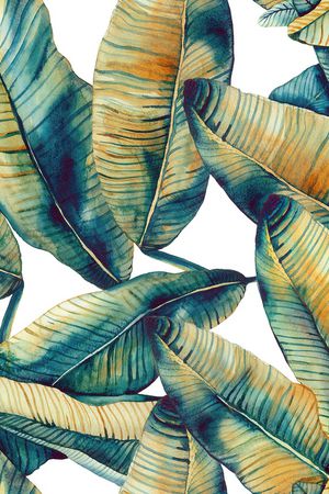 棕榈树印花华亿平台图片