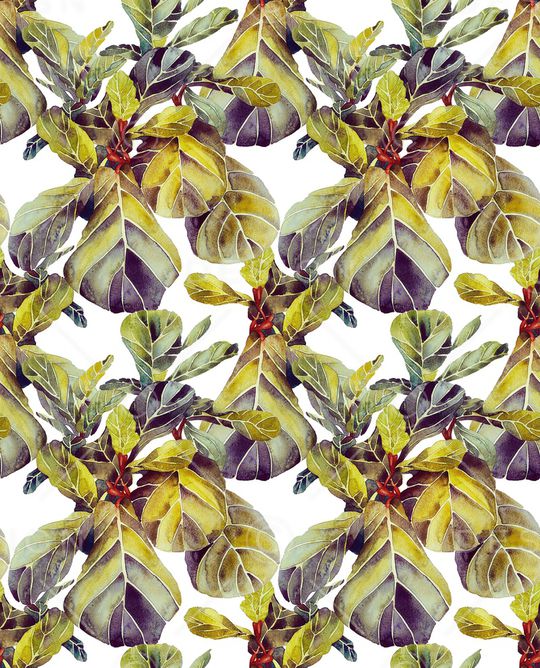 棕榈树印花华亿平台图片