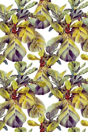 棕榈树印花华亿平台图片