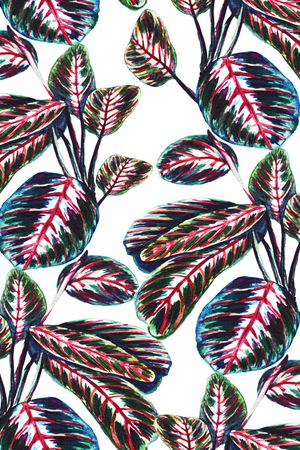 棕榈树印花华亿平台图片