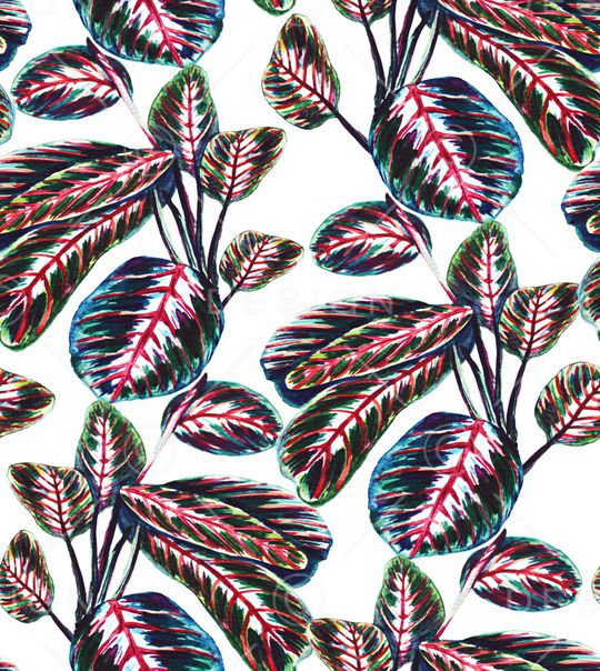 棕榈树印花华亿平台图片