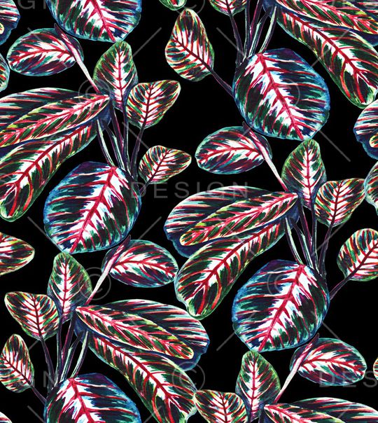 火烈鸟印花华亿平台图片