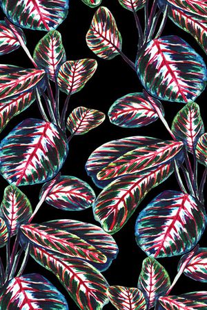 火烈鸟印花华亿平台图片